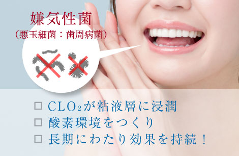 CLO₂が粘液層に浸潤　酸素環境をつくり長期にわたり効果を持続！